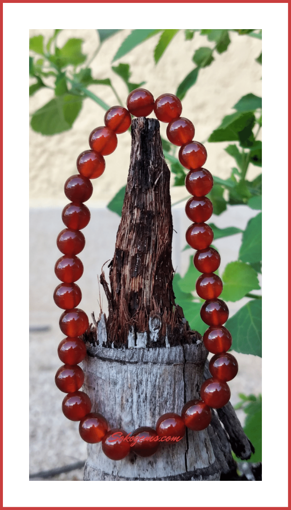 Buy Red Agate Bracelet on Sokogems